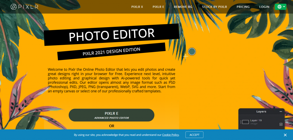 free online photo editor pixlr