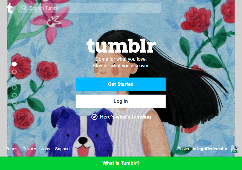tumblr social media platform to publish blogs