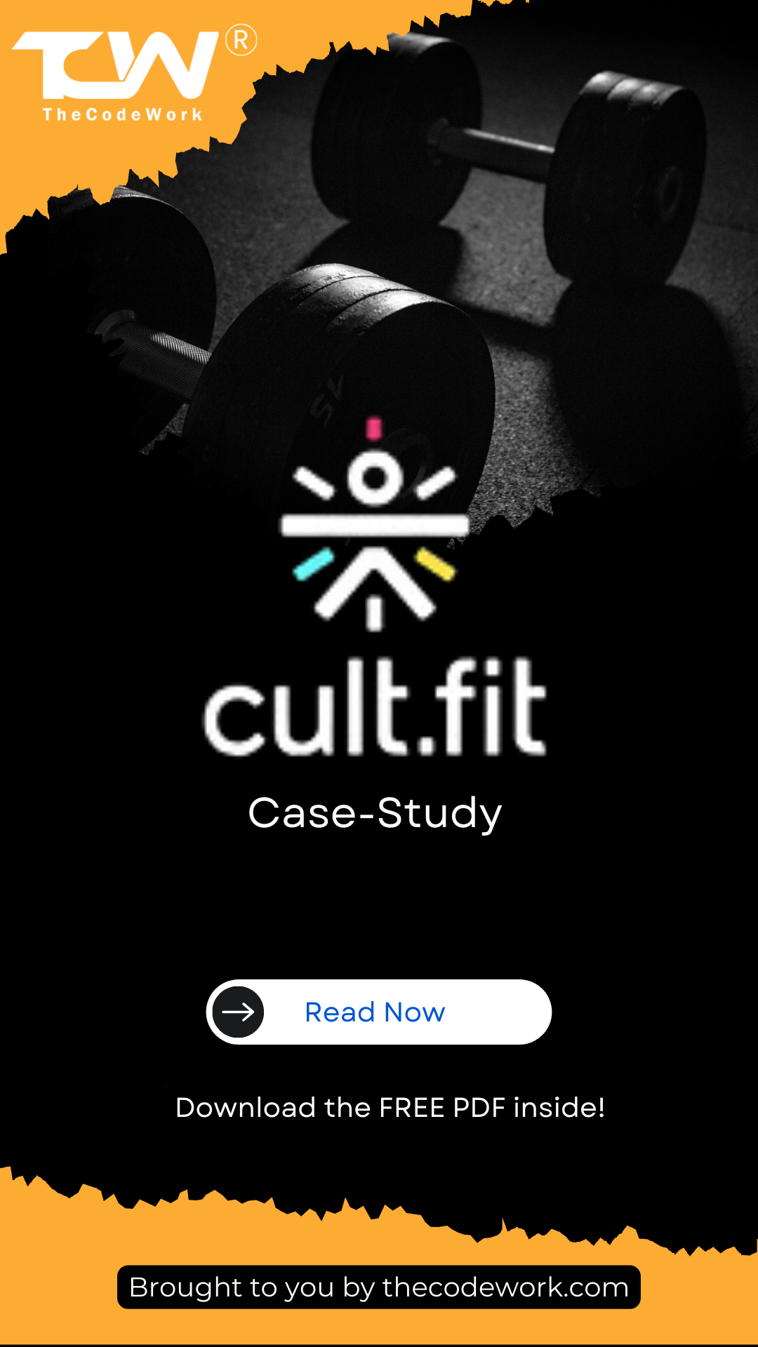 Case-Study of cult.fit 