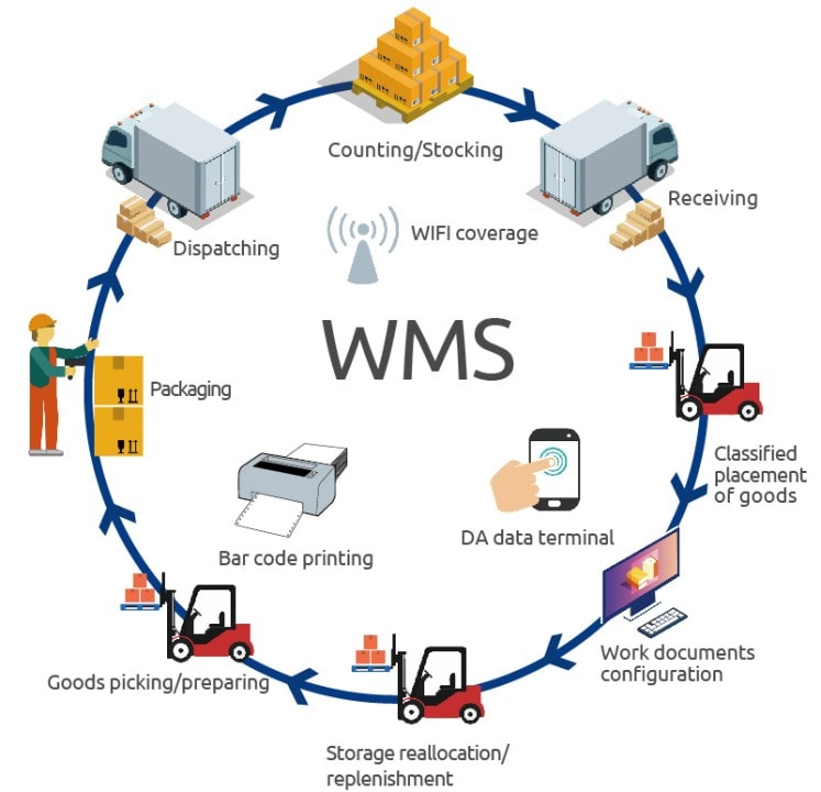 Data Migration on wms 